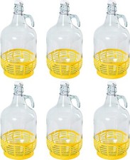 Bügelflaschen gärballon glas gebraucht kaufen  Niesky