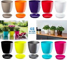 Plant flower pot for sale  MANCHESTER