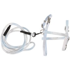 Collier traction chat d'occasion  Expédié en France