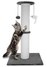 Heavy duty cat for sale  Santa Ana