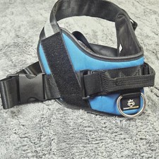 Doggy kingdome pull for sale  Fullerton