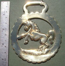 Nice cast horse for sale  DORCHESTER