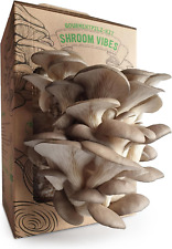 Set coltivazione funghi usato  Acate
