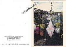 Autore rosenberg catch usato  Castelnuovo Rangone