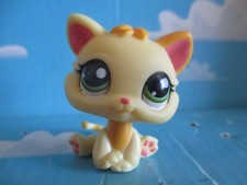 Petshop chaton chat d'occasion  Bailleul