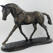 Trotting warmblood cold for sale  CHESTER