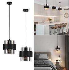 Beautiful pendant light for sale  Dayton
