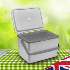 Refrigerador portátil isolado 5L com alça mini freezer geladeira para piquenique na praia comprar usado  Enviando para Brazil