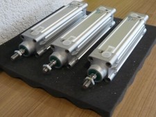 Pneumatik zylinder dnc gebraucht kaufen  Roggenburg