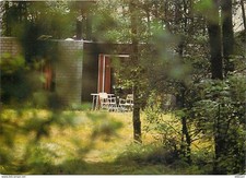 Peer erperheide center d'occasion  Fruges