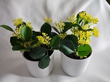 Pack potted faux for sale  Dearborn