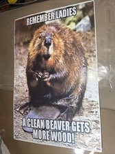 Clean beaver gets for sale  Maricopa