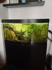 Juwel aquarium led gebraucht kaufen  Leipzig