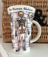 Dunoon anatomy tall for sale  BURY ST. EDMUNDS