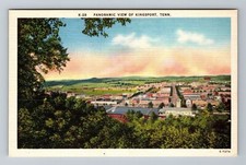 Kingsport tennessee panoramic for sale  Springfield