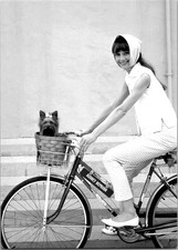 Cartão postal da atriz Audrey Hepburn em bicicleta com cachorro na cesta comprar usado  Enviando para Brazil