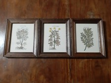 Set acquerelli vintage usato  Campobasso