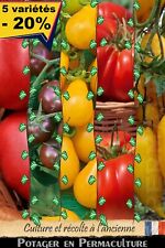 Tomates mélange variétés d'occasion  Bourthes