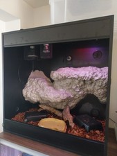 Vivarium almost brand for sale  CAMBORNE