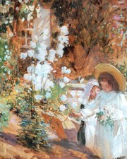 Campanulas artist dame for sale  SUTTON COLDFIELD
