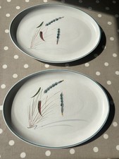 Vintage denby greenwheat for sale  EVESHAM