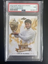 2023 leaf carlos d'occasion  Paris I