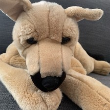 Kids preferred dog for sale  Hillsboro