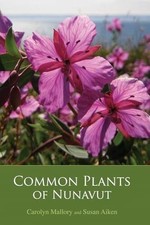 Common plants nunavut gebraucht kaufen  Stuttgart