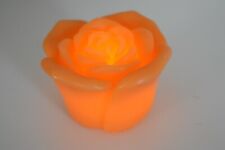 Elambia flammenlose rosen gebraucht kaufen  Dernbach, Dürrholz, Harschbach