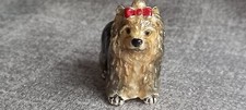 Yorkshire terrier miniature usato  Spedire a Italy