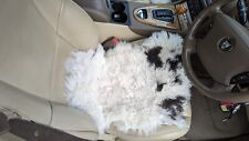 Real natural sheepskin for sale  COVENTRY