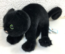 Jellycat spookipaws cat for sale  EXETER