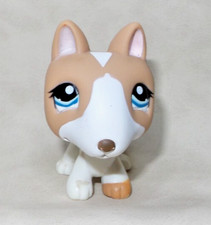 Littlest pet shop d'occasion  Expédié en Belgium