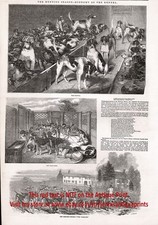 Dog foxhound hunting for sale  Lake Villa