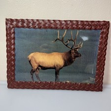Wildlife photo elk for sale  Oil City