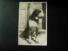 Vintage postcard swiss for sale  LONDON