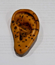 Ear acupuncture model for sale  CIRENCESTER