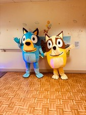 Hire bingo bluey for sale  WOKINGHAM