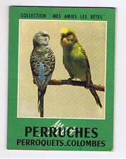Perruches perroquets colombes d'occasion  Valognes