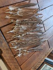 Natural pheasant tail for sale  ANTRIM