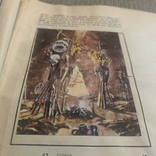 Figurina n.43 storia usato  Firenze