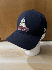 Milb toledo mud for sale  Findlay