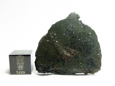 meteorite slice for sale meteorite slice for sale Hilo