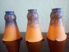 Tulipe verre assorties d'occasion  Tannay