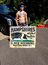 Vintage large hampshire for sale  Ely