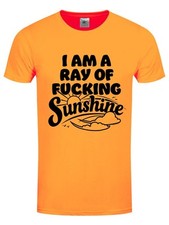 Ray fucking sunshine for sale  HOLT
