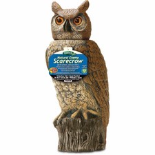 Dalen fake owl for sale  Deal