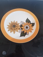 Tanya barratts staffordshire for sale  WORCESTER