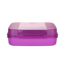 Tupperware großes naschkätzc gebraucht kaufen  Sehmatal