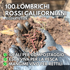 100 lombrichi rossi usato  Stefanaconi